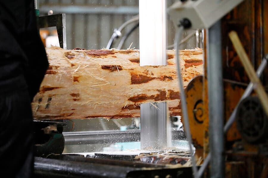 森からはじめる家づくり