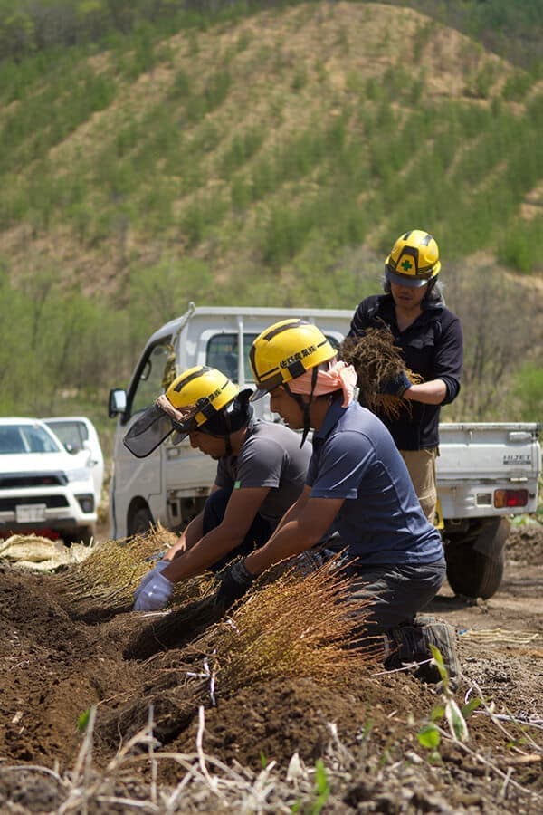 森を育てる家づくり