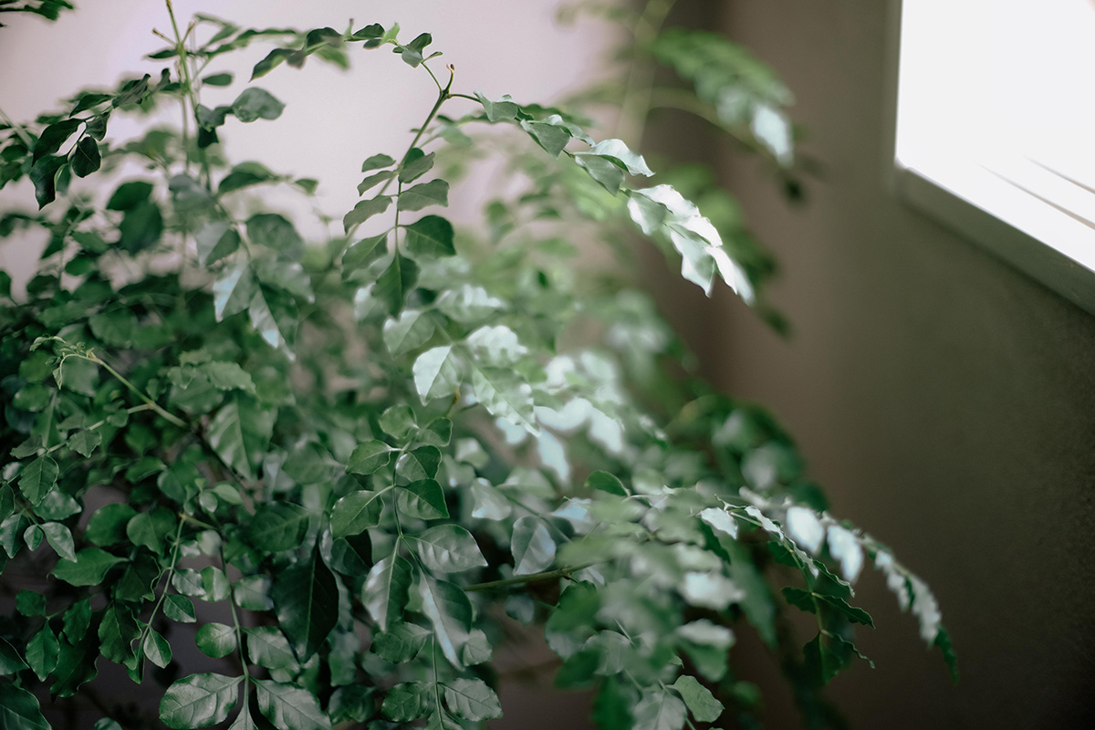 HOUSE&HOUSE｜JOUNAL